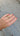 Anillo Cuadruple